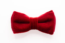 Load image into Gallery viewer, classic red velvet dog bow tie