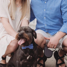 Load image into Gallery viewer, blue + pink gingham print dog bow tie