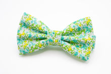 Load image into Gallery viewer, lime green turquoise yellow mini floral bow tie