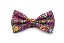 Load image into Gallery viewer, colorful mini sugar skulls bow tie