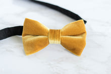 Load image into Gallery viewer, mustard yellow velvet bow tie