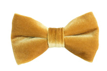 Load image into Gallery viewer, mustard yellow velvet bow tie