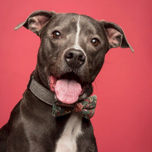 Load image into Gallery viewer, blue + pink gingham print dog bow tie