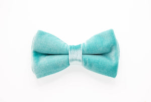 icy aqua velvet dog bow tie