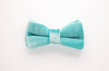 Load image into Gallery viewer, icy aqua velvet dog bow tie