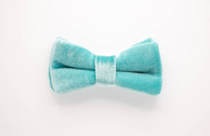 icy aqua velvet dog bow tie