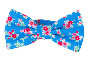 blue floral bow tie