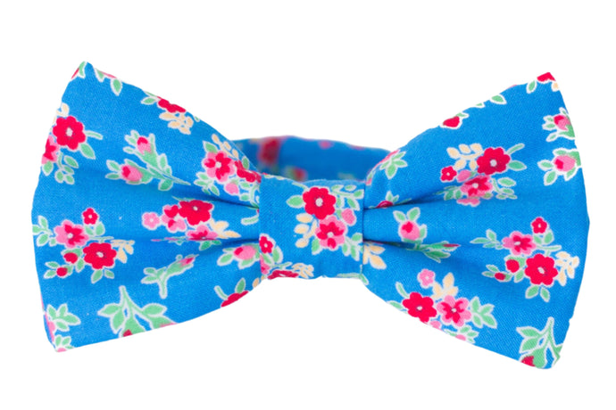 blue floral bow tie