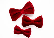 Load image into Gallery viewer, classic red velvet dog bow tie