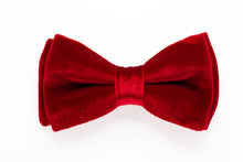 Load image into Gallery viewer, classic red velvet dog bow tie