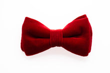 Load image into Gallery viewer, classic red velvet dog bow tie