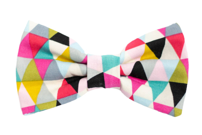colorful dog bow tie