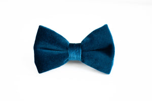 velvet bow tie