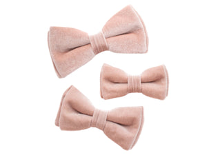 blush pink dog bow tie