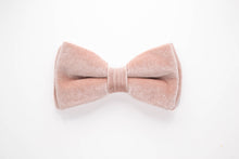 Load image into Gallery viewer, dusty rose velvet dog bow tie