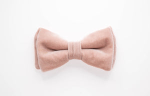 dusty rose velvet dog bow tie