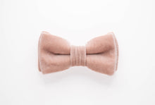 Load image into Gallery viewer, dusty rose velvet dog bow tie