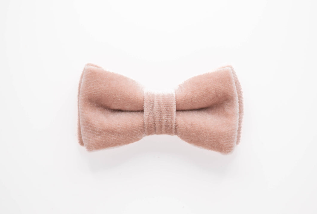 dusty rose velvet dog bow tie