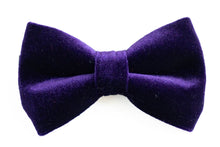 Load image into Gallery viewer, eggplant purple velvet bow tie