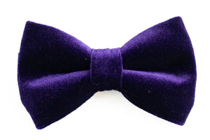 eggplant purple velvet bow tie