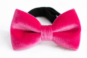 velvet bow tie