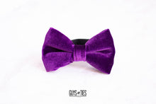 Load image into Gallery viewer, bright magenta purple velvet bow tie