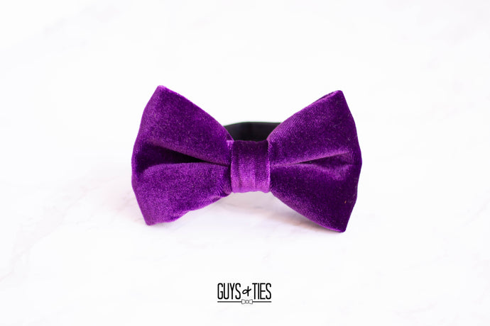 bright magenta purple velvet bow tie