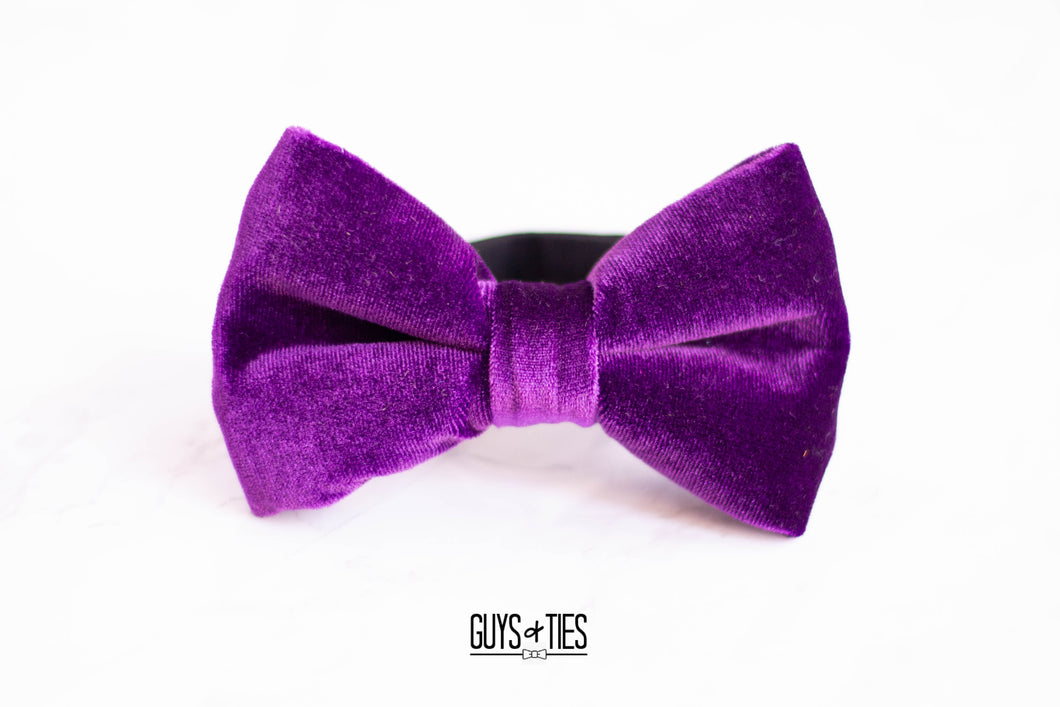 bright magenta purple velvet bow tie