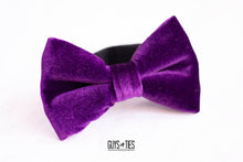 Load image into Gallery viewer, bright magenta purple velvet bow tie