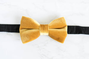 velvet bow tie | golden yellow