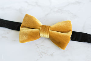 velvet bow tie | golden yellow