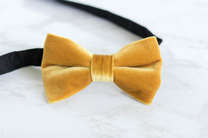 velvet bow tie | golden yellow