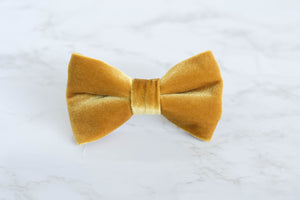 velvet bow tie | golden yellow