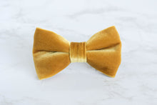 Load image into Gallery viewer, velvet bow tie | golden yellow