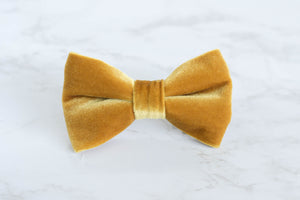 velvet bow tie | golden yellow