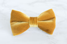 Load image into Gallery viewer, velvet bow tie | golden yellow