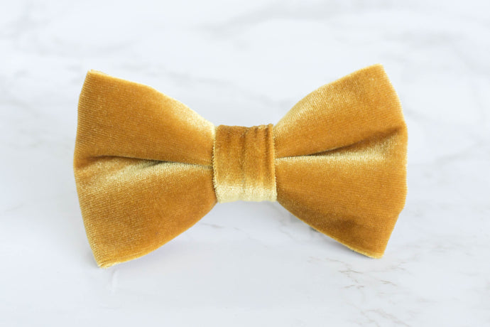 velvet bow tie | golden yellow