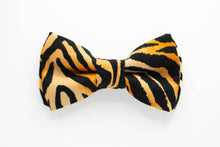 Load image into Gallery viewer, black + orange tiger print dog bow tie