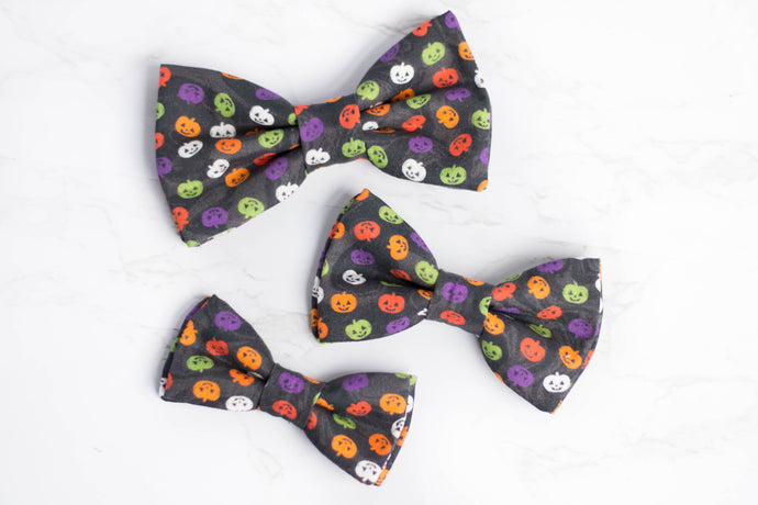 dog bow tie | mini pumpkins