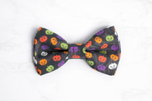 Load image into Gallery viewer, dog bow tie | mini pumpkins