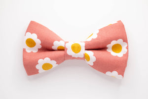 blush pink daisy dog bow tie