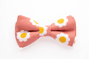 blush pink daisy dog bow tie