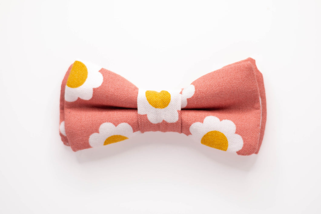 blush pink daisy dog bow tie