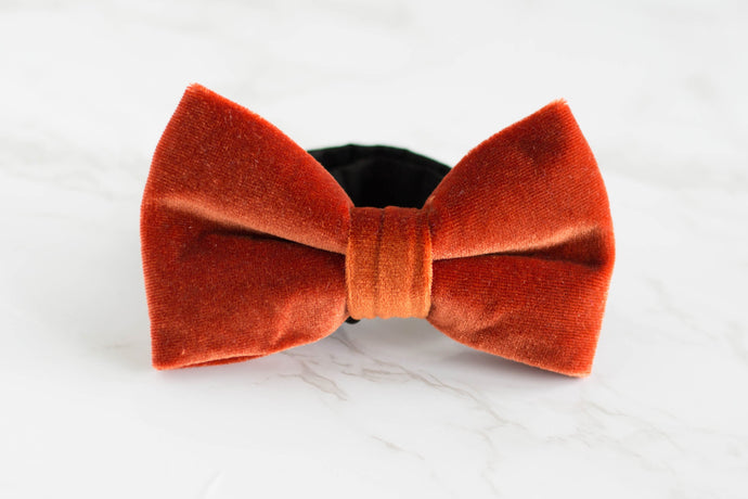 rustic burnt orange velvet pre tied bow tie