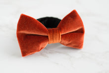 Load image into Gallery viewer, rustic burnt orange velvet pre tied bow tie