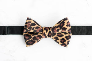 brown cheetah velvet bow tie