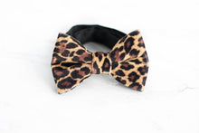 Load image into Gallery viewer, brown cheetah velvet bow tie