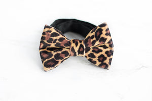 brown cheetah velvet bow tie