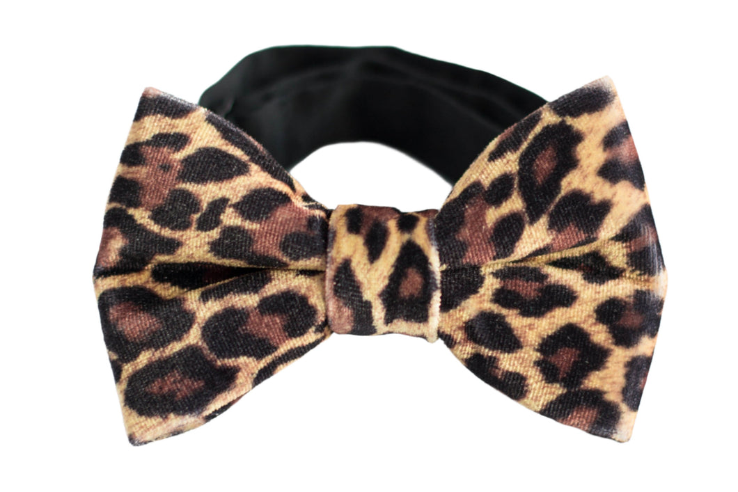 brown cheetah velvet bow tie