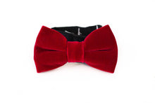 Load image into Gallery viewer, red velvet bow tie